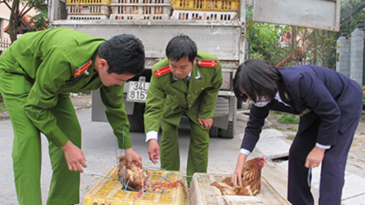 Quảng Ninh: Kiểm soát dịch ngay từ các chợ vùng biên (02/5/2017)