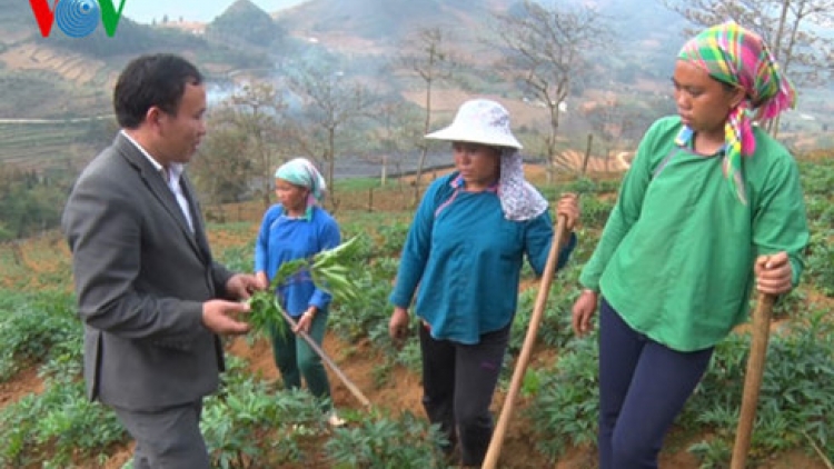 Thạc sỹ người Mông đầu tiên của huyện Si Ma Cai, Lào Cai và những nỗ lực không mệt mỏi của anh trong công việc và cuộc sống (3/4/2017)