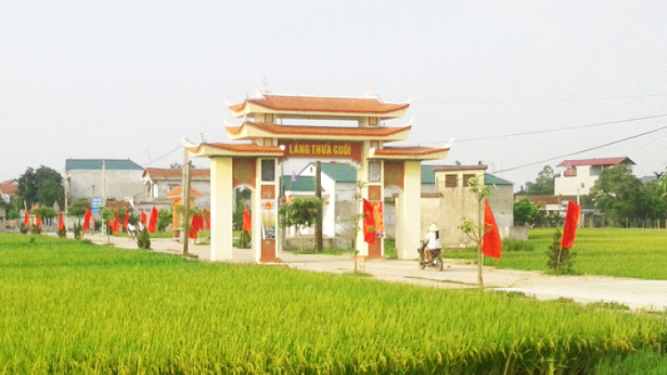 Vĩnh Phúc hướng tới 100% huyện đạt chuẩn Nông thôn mới vào năm 2020 (23/5/2017)