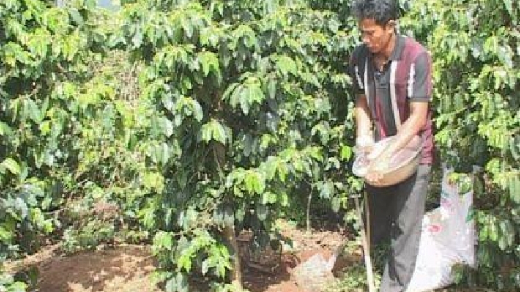 Tây Nguyên: Nỗi lo về chất lượng phân bón (10/5/2017)