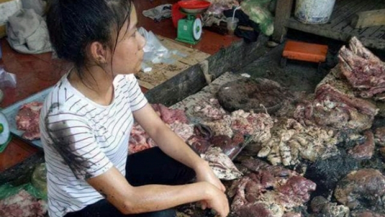 Uỷ ban nhân dân thành phố Hải Phòng họp báo công bố thông tin chính thức về vụ việc cản trở, hất chất bẩn vào quầy kinh doanh thịt lợn tại chợ Lương Văn Can, quận Ngô Quyền (Thời sự trưa 13/5/2017)