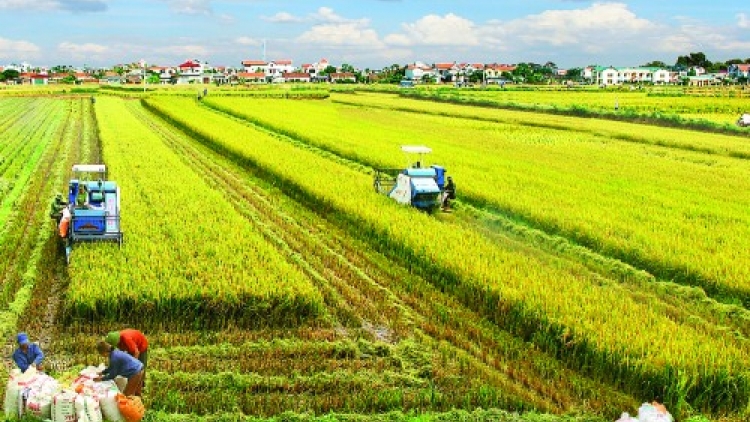 Cần một cú huých thực chất (24/6/2017)