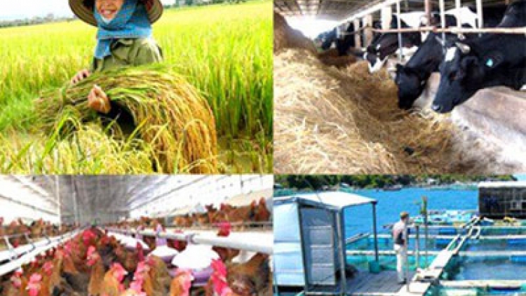 Gỡ khó cho đầu tư nông nghiệp, nông thôn (23/6/2017)