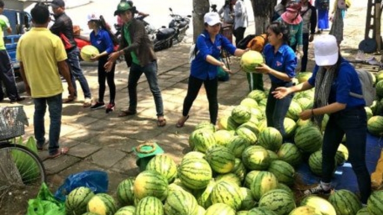 Sau giải cứu nông sản, cần "giải cứu" tư duy quản lý (03/6/2017)