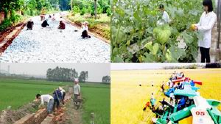 Xây dựng nông thôn mới kiểu mẫu: Chặng đường còn nhiều chông gai (25/7/2017)