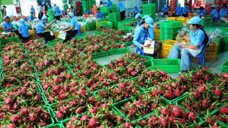 Chuyển từ lượng sang chất- cú huých để nông sản bứt phá (05/7/2017)
