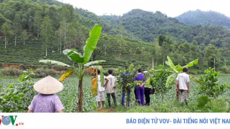 Yên Bái: Trại lợn gây ô nhiễm, hàng trăm hộ dân ra chặn đường (15/7/2017)