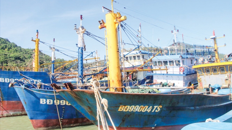 Sửa đổi Nghị định 67-ngư dân được hỗ trợ một lần sau đầu tư (6/8/2017)