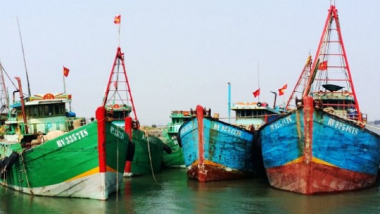 Bà Rịa – Vũng Tàu: Khan hiếm lao động, nhiều tàu cá năm bờ (14/8/2017)