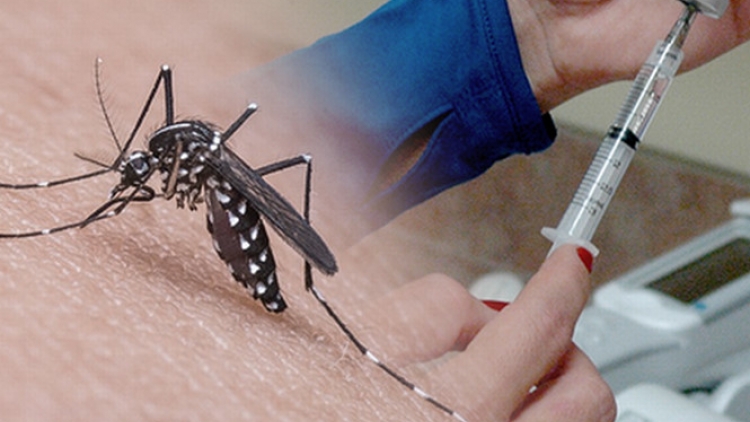 Viện Pasteur thành phố Hồ Chí Minh cho biết sắp kết thúc quá trình thử nghiệm loại vắc-xin phòng bệnh sốt xuất huyết (Thời sự đêm 3/8/2017)