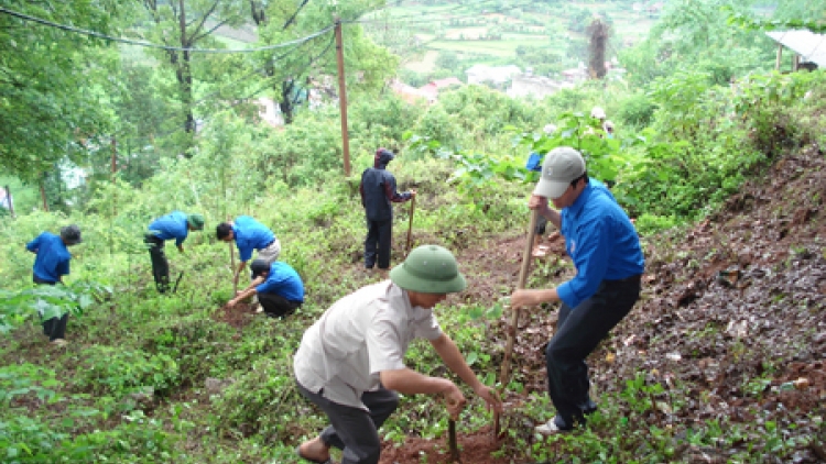 Chính sách giao đất, giao rừng cần tạo điều kiện cho người nhận đất, nhận rừng. (23/8/2017)