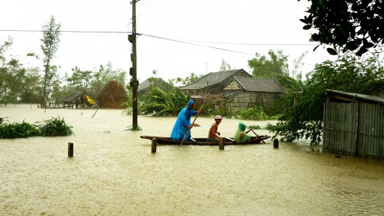 Ban Chỉ đạo Trung ương về phòng, chống thiên tai yêu cầu các tỉnh, thành phố khu vực Bắc bộ chủ động ứng phó với mưa, lũ, lũ quét và sạt lở đất (Thời sự trưa 02/8/2017)