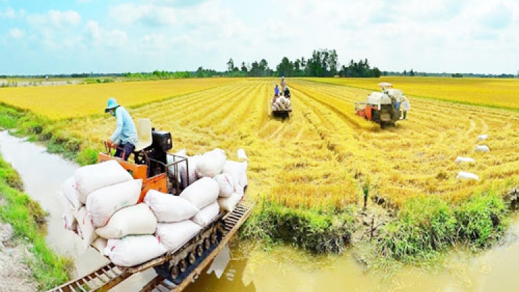 Kịch bản cho nông nghiệp Đồng bằng sông Cửu Long phát triển bền vững, thịnh vượng (28/9/2017)