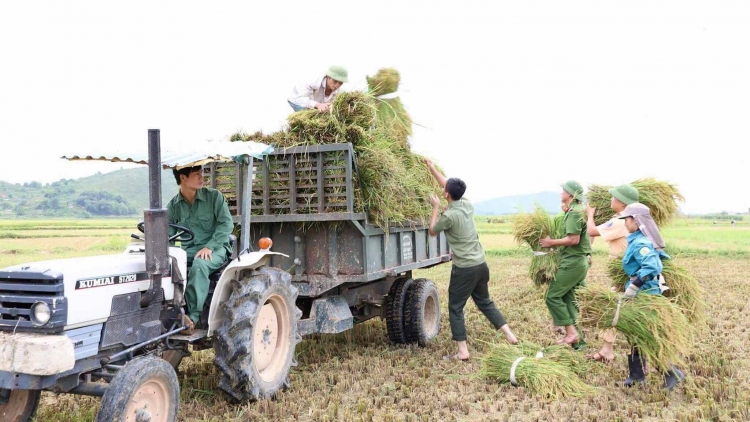 Hà Tĩnh, Quảng Bình: Khẩn trương ứng phó với bão số 10 (15/9/2017)