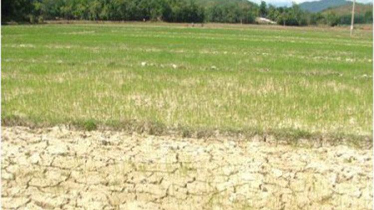 Coi hạn mặn là lợi thế, là cơ hội để phát triển bền vững khu vực Đồng bằng sông Cửu Long. (27/9/2017)