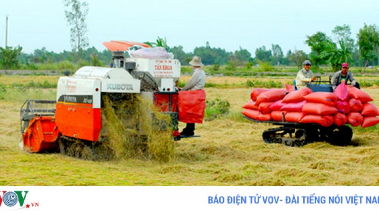Sản xuất nông nghiệp cần hướng tới giá trị bền vững (30/9/2017)