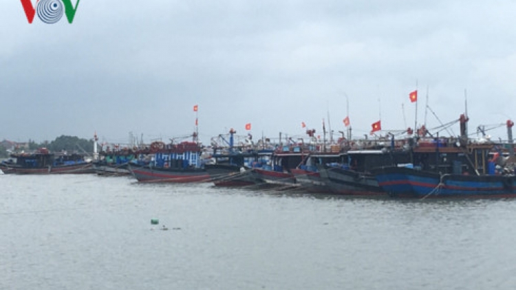 Công tác ứng phó, phòng tránh bão số 10 tại các địa phương trong vùng bị ảnh hưởng (Thời sự chiều 14/9/2017)