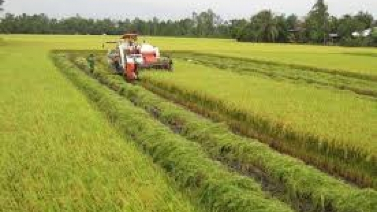 Nông nghiệp 2018: Cơ hội và thách thức (03/01/2018)