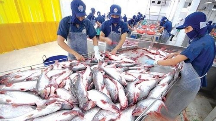 Vượt vũ môn: Xuất khẩu thủy sản 2017 đại thắng. (13/01/2018)