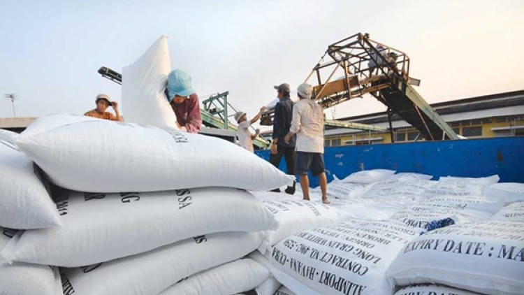 Vượt qua giá gạo Thái Lan xuất khẩu, gạo Việt xác lập đỉnh cao mới (Thời sự trưa 29/1/2018)