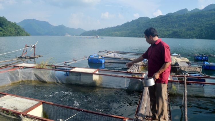 Giải pháp nào đánh thức tiềm năng từ nuôi trồng thủy sản tại các tỉnh miền Bắc (9/10/2018)