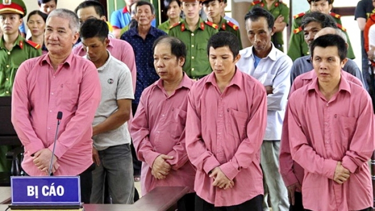 9 bị cáo trong vụ phá rừng lớn nhất ở Bình Định lãnh án 81 năm tù (22/10/2018)