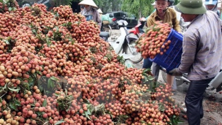 Tăng cường các chính sách hỗ trợ nông sản Việt (30/10/2018)