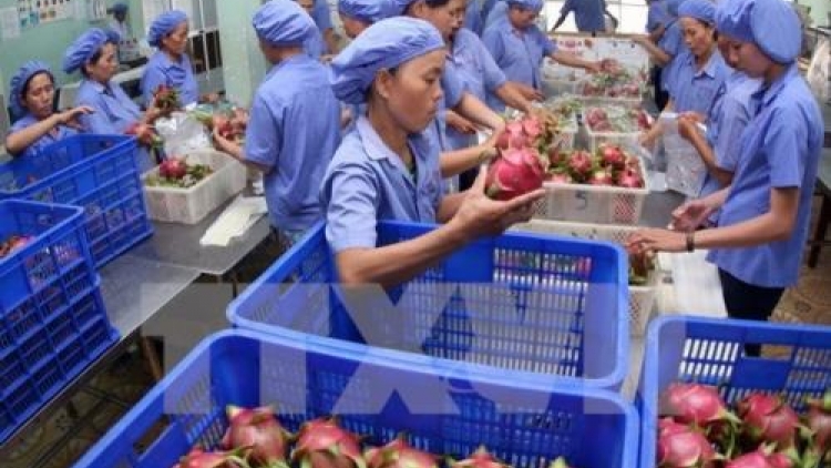 Phát triển công nghệ chế biến giúp tăng giá trị nông sản (9/11/2018)