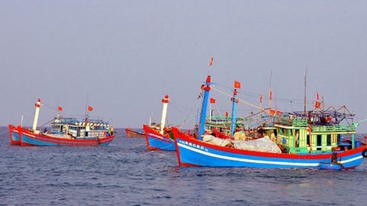 Ngăn chặn các hoạt động môi giới, đầu tư cho tàu cá ngư dân khai thác hải sản trái phép ở vùng biển nước ngoài (13/11/2018)