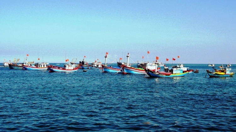 Nâng cao ý thức chấp hành pháp luật của ngư dân trong hoạt động khai thác hải sản (7/11/2018)