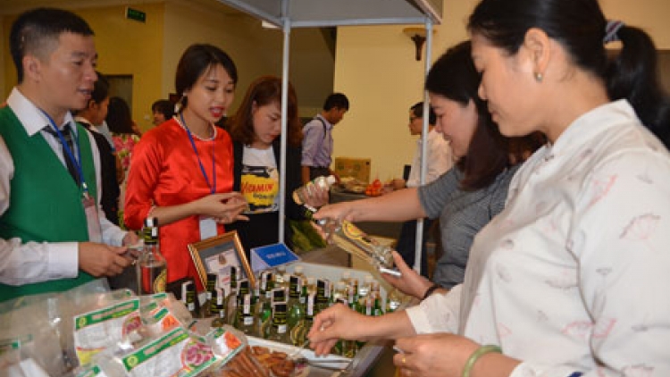 Tìm đối tượng khách hàng cho dự án hợp tác xã rượu chuối Tân Dân (4/11/2018)