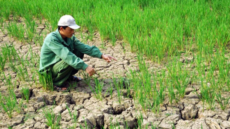 Chuyển đổi cơ cấu sản xuất, đảm bảo an ninh lương thực trước thách thức của biến đổi khí hậu (28/11/2018)