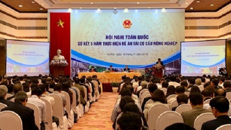 5 năm tái cơ cấu nông nghiệp, nông sản Việt Nam hiện đã có mặt tại thị trường 180 quốc gia và vùng lãnh thổ; kim ngạch xuất khẩu tăng nhanh bình quân đạt 31,5 tỉ đô la Mỹ/năm (Thời sự trưa 10/11/2018)