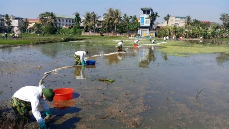 Hoàn thành giai đoạn 1 khắc phục sự cố tràn khoảng 4.000 lít dầu ở  thành phố Thanh Hóa, tỉnh Thanh Hóa (Thời sự đêm 25/12/2018)