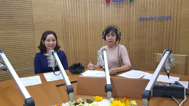 Thị trường lao động dịp cuối năm: Cẩn thận kẻo mắc bẫy tuyển dụng (26/12/2018)