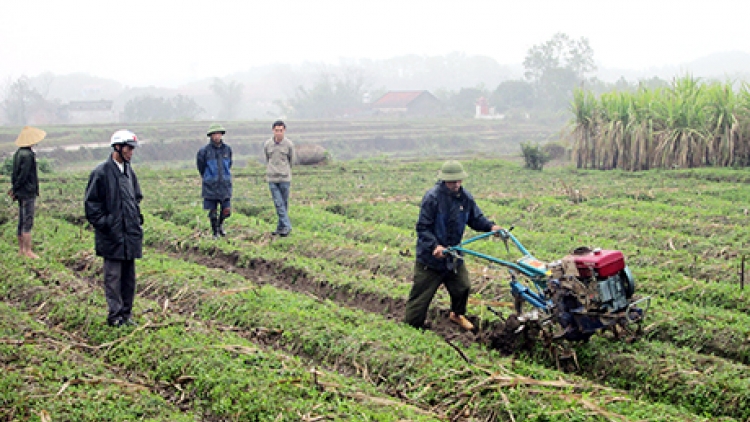 Đẩy mạnh tái cơ cấu nông nghiệp gắn với xây dựng nông thôn mới (4/12/2018)
