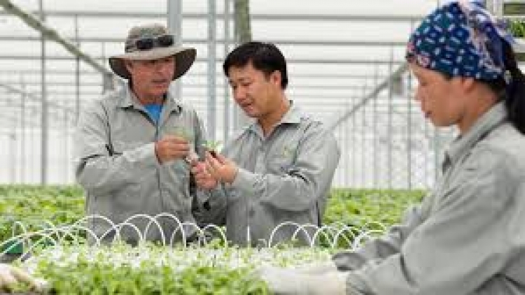 Sản xuất hàng hoá cần cái bắt tay của nông dân và doanh nghiệp (20/2/2018)