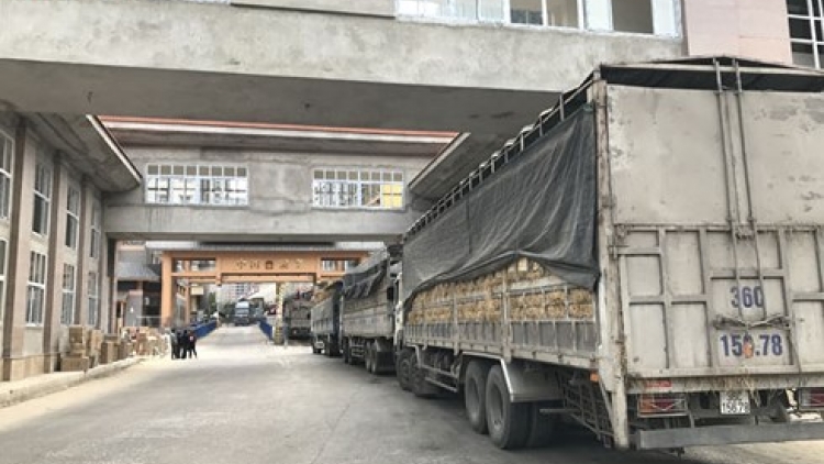 Ùn tắc hàng nghìn xe hoa quả và những nút thắt cần tháo gỡ. (07/02/2018)