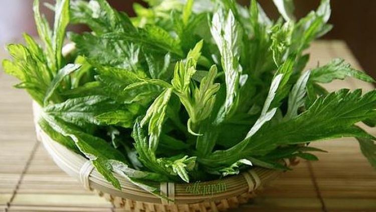 Phòng và hỗ trợ điều trị liệt mặt méo miệng bằng phương pháp cứu ngải (3/3/2018)