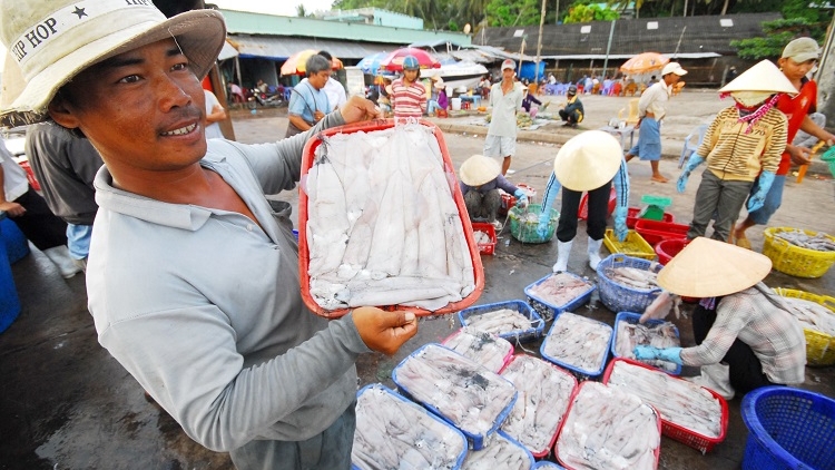 Cơ hội nào cho hải sản Việt Nam và thị trường EU trong thời gian tới (22/3/2018)