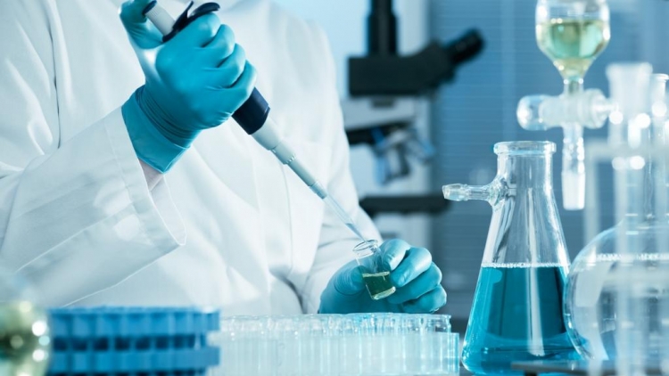 Hàng triệu người dân sẽ được sàng lọc ung thư sớm miễn phí trong một chương trình nhân văn đang được thành phố Hà Nội triển khai rộng khắp các quận, huyện, mở ra cơ hội sống sót và giảm chi phí điều trị cho người bệnh (Thời sự đêm 8/3/2018)