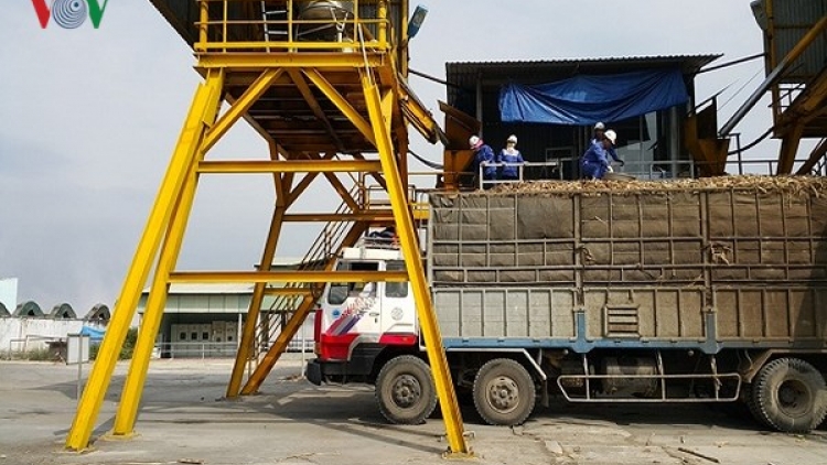 Nhà máy từ chối thu mua, mía bán rẻ như cho (23/3/2018)