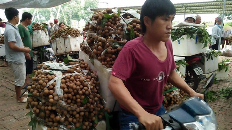 Vì sao việc xây dựng thương hiệu cho nông sản Việt lại khó khăn? (14/4/2018)