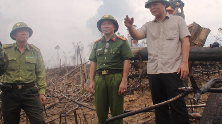 Cô đơn giữ rừng (17/5/2018)