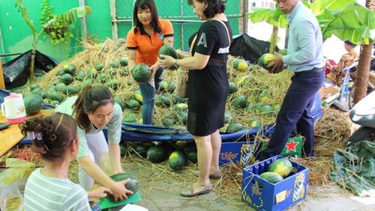 Tìm đầu ra cho thị trường nông sản – Bài toán khó (7/5/2018)