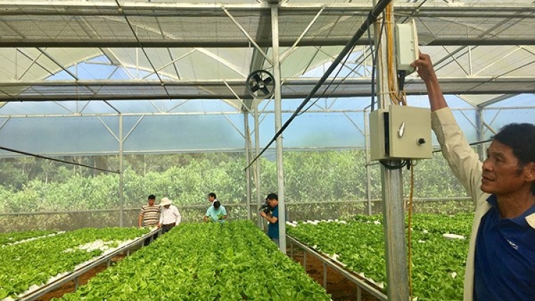 Cần đẩy mạnh liên kết trong sản xuất nông nghiệp (18/5/2018)