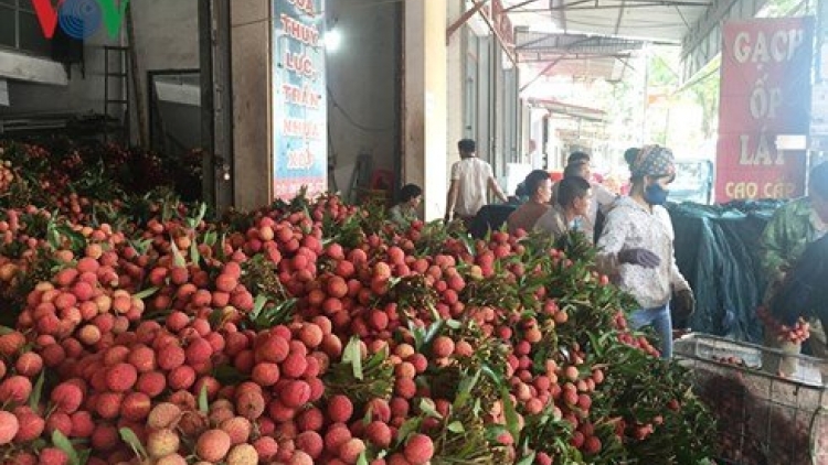 Liên kết tiêu thụ nông sản: Bài học kinh nghiệm từ chuyện tiêu thụ vải thiều (14/6/2018)