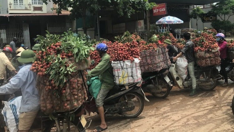 Bắc Giang biến thế mạnh địa phương thành sản phẩm có giá trị kinh tế! (6:08 giây)