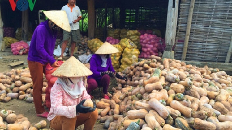 Liên kết doanh nghiệp không có nghĩa là bao tiêu sản phẩm (5/7/2018)