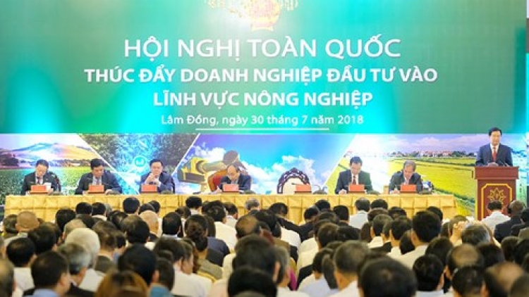 Thủ tướng Nguyễn Xuân Phúc: Phấn đấu đưa nông nghiệp Việt Nam vào top 15 nước phát triển nhất thế giới (Thời sự chiều 30/7/2018)